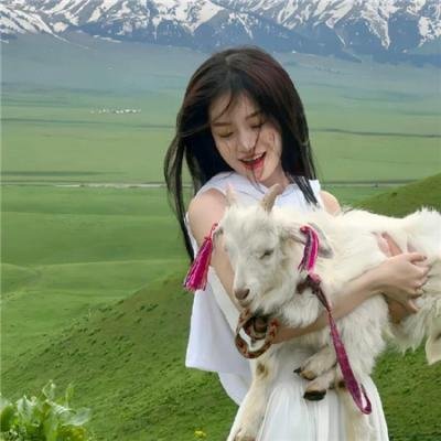 《超完美抢案》